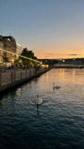 Genève lac chauffeur privé Lyon Ash Driver